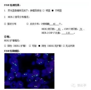 乳腺癌HER2 FISH检测——靶向用药的金标准(三) HER2 FISH检测报告及结果解释