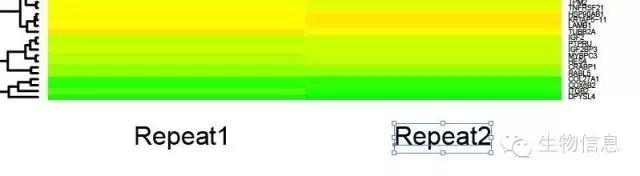 HEAT MAP 相关