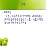 2011-11-21