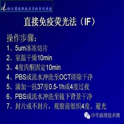 探讨免疫组织学在肾穿标本中的应用