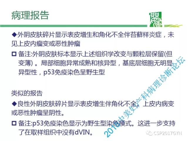非HPV相关的外阴鳞状细胞肿瘤