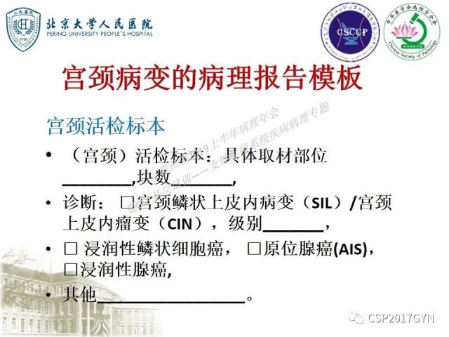 中华病理学会基层培训遵义站讲座（三）——宫颈鳞状上皮病变的病理诊断与鉴别诊断