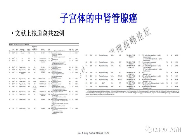 妇科肿瘤病理新进展——特殊类型的腺癌