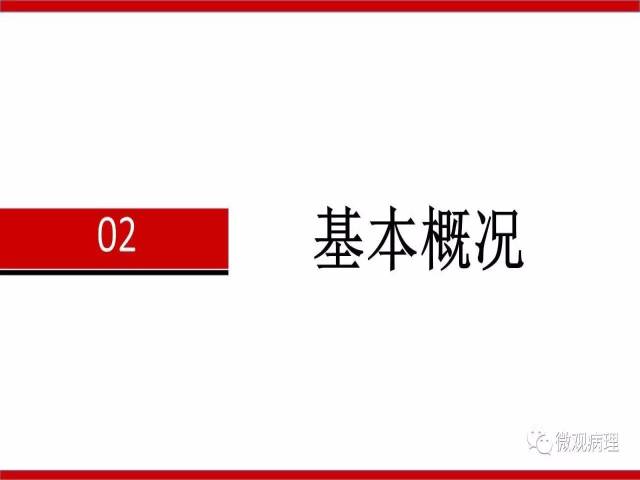 泌尿课程/浸润性尿路上皮癌病理学类型
