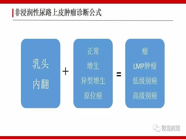 膀胱尿路上皮肿瘤诊断的一些困惑