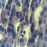 2012-03-06