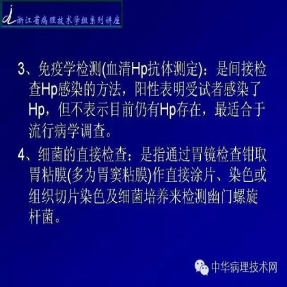 特殊染色 - HP染色