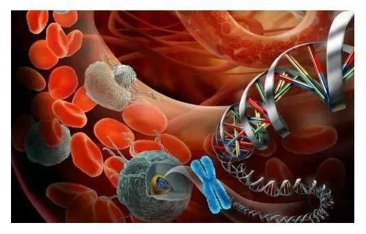 国自然科学问题分析：正在崛起的循环肿瘤细胞
