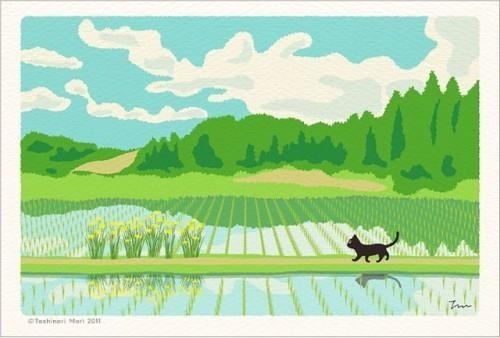 行走在春夏秋冬的四季里
