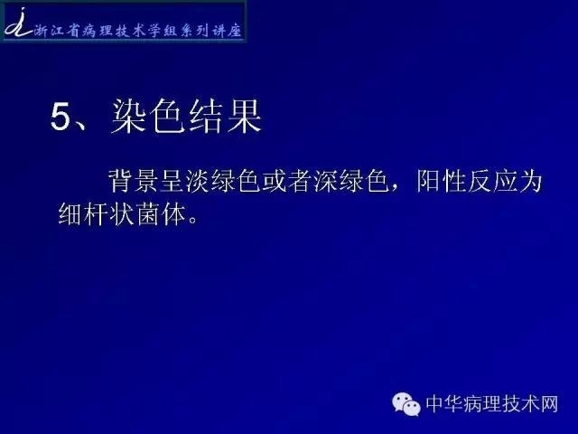 特殊染色-抗酸染色
