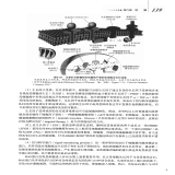 默认相册