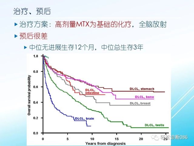 中枢神经系统弥漫大B细胞淋巴瘤