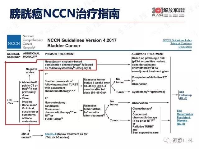 泌尿系统常见肿瘤标本病理报告规范