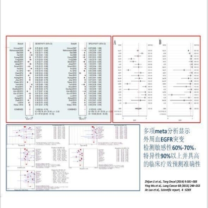 第13届中国肺癌高峰论坛