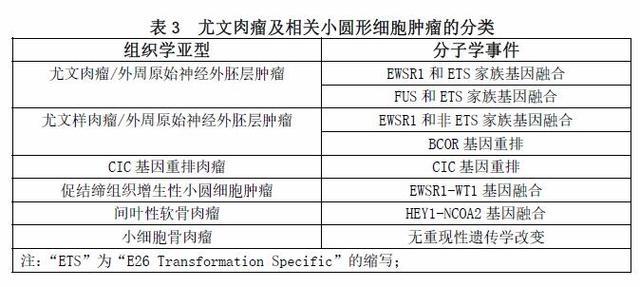 尤文肉瘤及其类似且可能相关的小圆细胞肿瘤的发展史：我们从何方来，要到何方去？