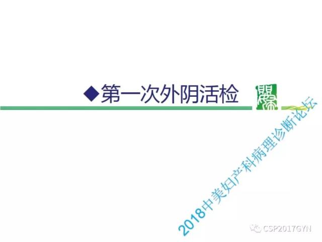 非HPV相关的外阴鳞状细胞肿瘤