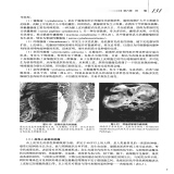 默认相册