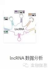 NGS数据处理流程