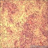 2012-06-06