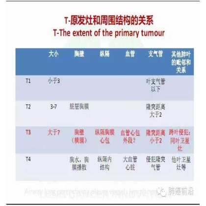 肺癌新分期和分类--临床和研究启示