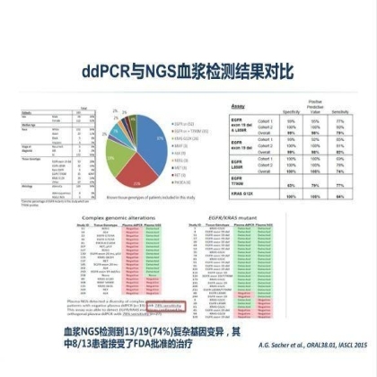 第13届中国肺癌高峰论坛