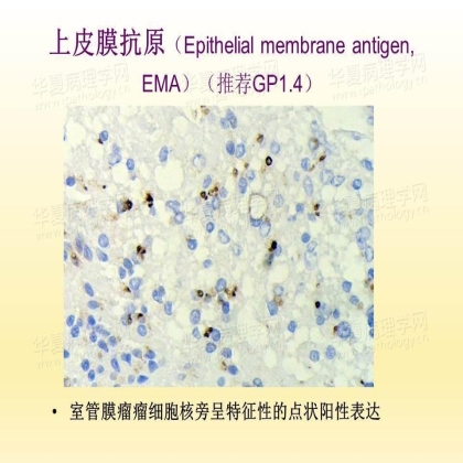 华夏病理网“在线课堂”学习有感