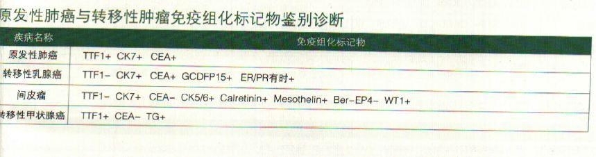 原发性肺癌与转移性肿瘤免疫组化标记物鉴别诊断