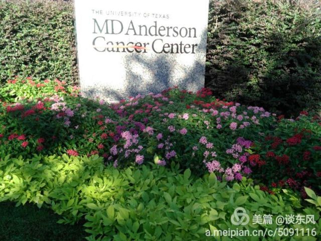 中国首届赴美肿瘤科主任班 Chinese Chief Oncologists at MDACC