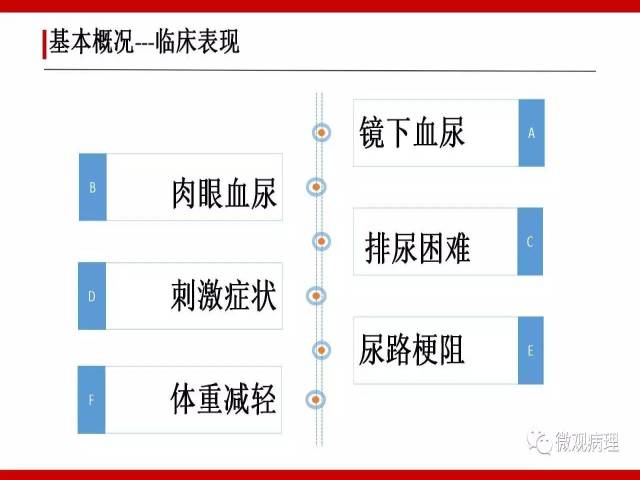 泌尿课程/浸润性尿路上皮癌病理学类型