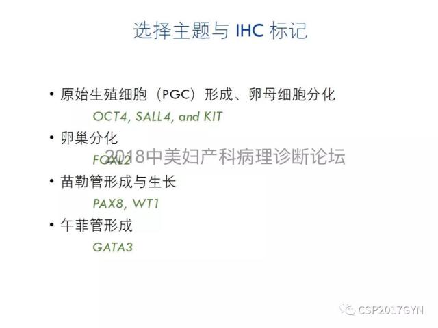 女性生殖道发育